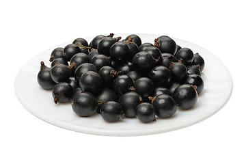 Image showing Blackcurrant 