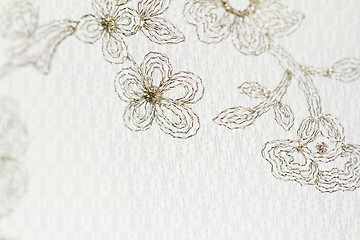 Image showing Special lace