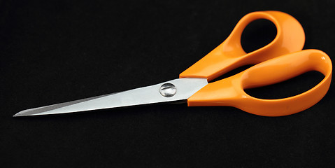 Image showing Scissors