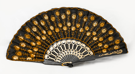 Image showing Special fan