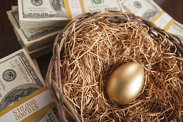 Image showing Golden Egg in Nest and Thousands of Dollars Surrounding