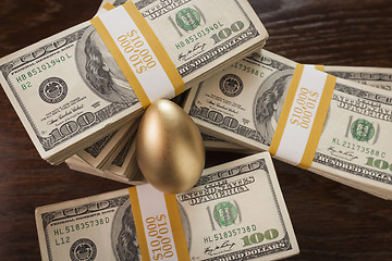 Image showing Golden Egg and Thousands of Dollars Surrounding