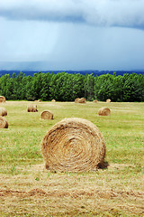 Image showing Hay bales