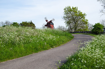 Image showing Country road surrounded by cow parsley with an old windmill ahea