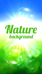 Image showing Nature background