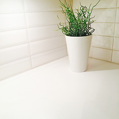 Image showing Plant decorating kitchen corner