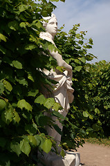 Image showing Marble sculpture in the park