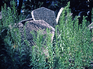 Image showing Old Jewish Cemetery
