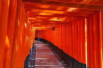 Image showing Fushimi Inari Taisha Shrine in Kyoto city