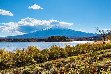 Image showing Mount Fuji from lake Kawaguchiko