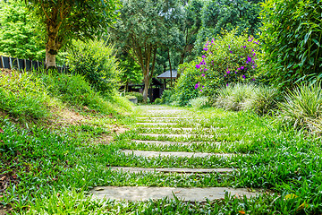 Image showing Wooden walkway