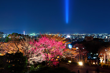 Image showing Japanese temple in Kyoto city at night