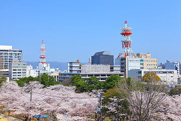 Image showing Wakayama city