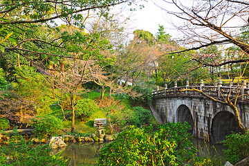 Image showing Japanese garden with bridge