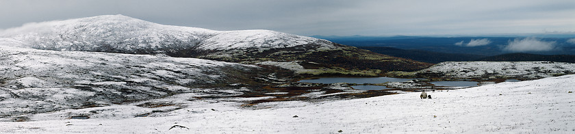 Image showing Panorama of Iolga tundra