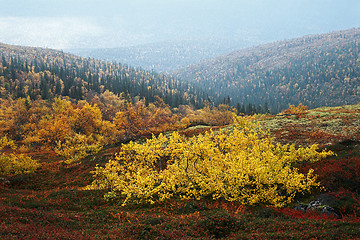 Image showing Tundra in autumn 3