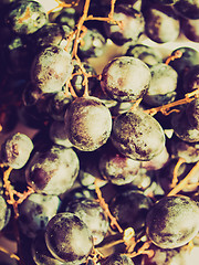 Image showing Retro look Grape picture