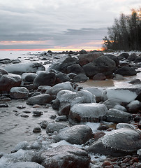 Image showing Winter beach