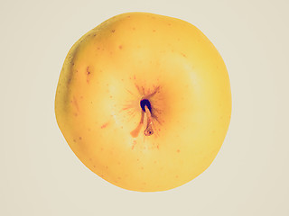 Image showing Retro look Apple fruit