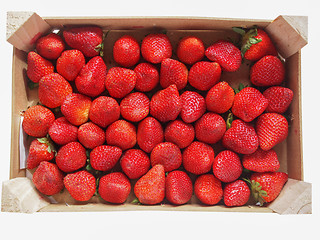 Image showing Strawberries fruits