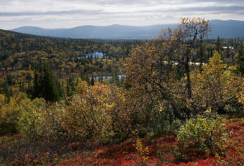 Image showing Autumn in Iolga-tundra 2