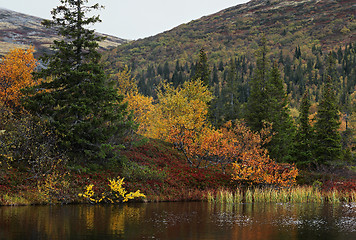 Image showing Autumn in Iolga-tundra 3