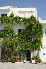 Image showing greek island street scene