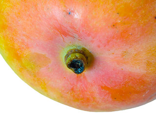 Image showing Mango