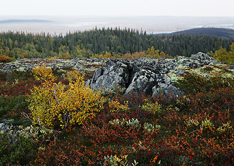 Image showing Autumn in Iolga-tundra 4