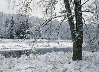 Image showing Winter on the Luga-river