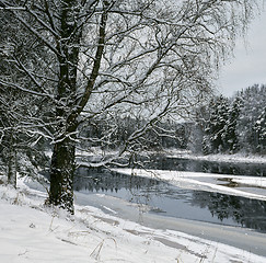 Image showing Winter on the Luga-river 2