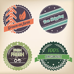 Image showing Retro organic badge set