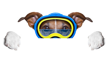 Image showing scuba dog