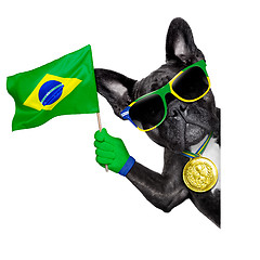 Image showing brazil soccer dog  