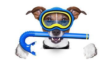 Image showing scuba dog