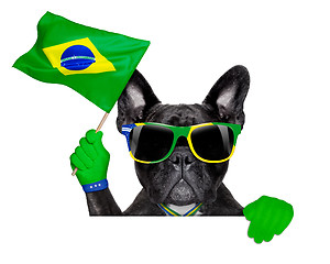 Image showing brazil soccer dog  