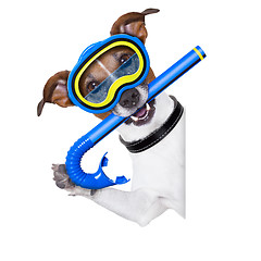 Image showing scuba dog