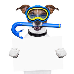 Image showing scuba dog