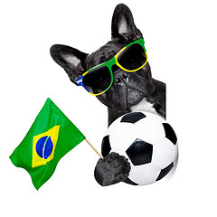 Image showing brazil soccer dog  