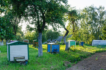 Image showing row hives between tree sun lit rural garden  