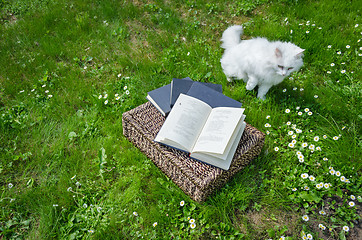 Image showing Cat philosopher near wicker basket full of books 