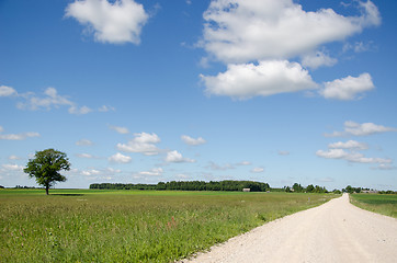 Image showing gravel road and car automobile go rising dust 