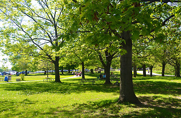 Image showing Spring in the park.