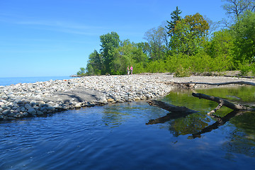 Image showing Spring on the lake.