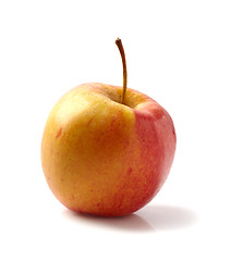 Image showing fresh red apple