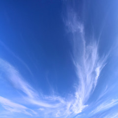 Image showing sky and cloud