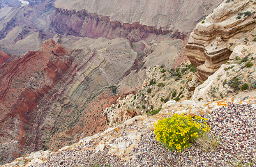 Image showing Grand Canyon