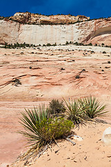 Image showing Zion National Park