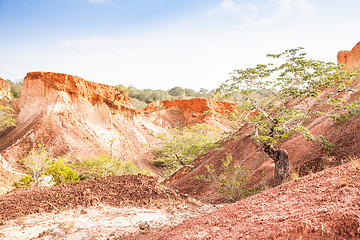 Image showing Marafa Canyon - Kenya