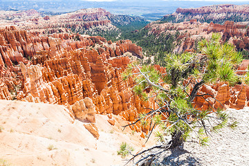 Image showing Bryce Canyon